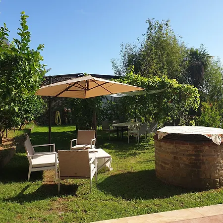 Bonini 3*
