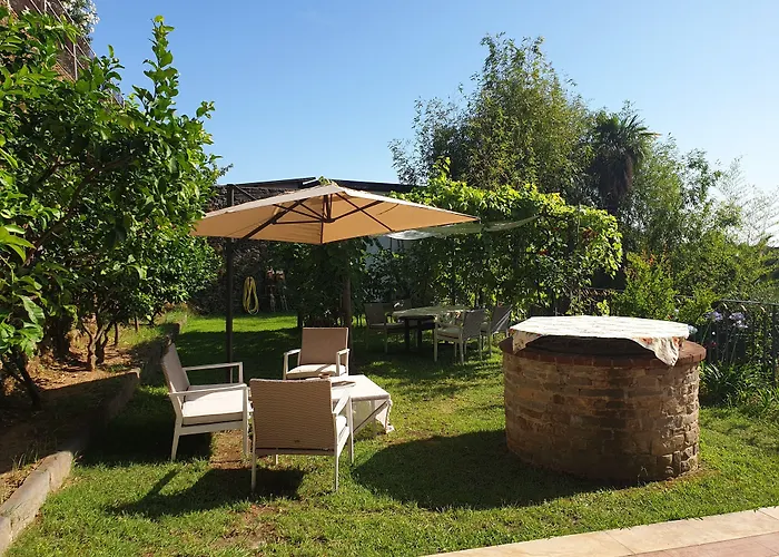 Bonini 3*